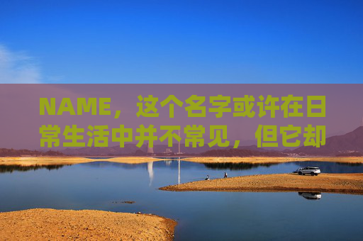 NAME，这个名字或许在日常生活中并不常见，但它却在某些领域里扮演着重要的角色。今天，让我们一起来探索这个名字背后的故事和意义